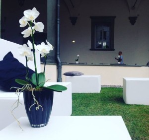 Tagetik in Touch 2015